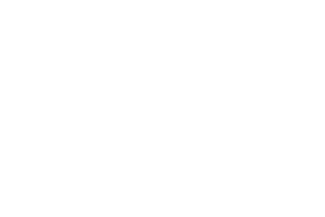medDV Logo